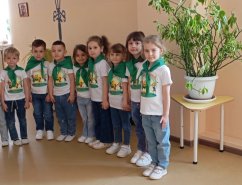 img (1)